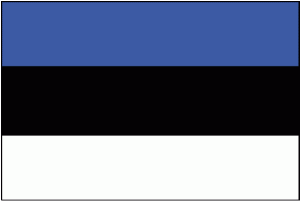 the Estonian flag, for those of you who aren't flag nerds. losers.